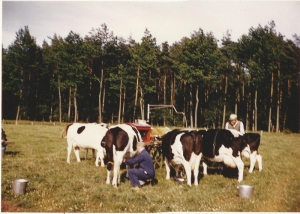 F11 Surge-melkmachine bij Weenk